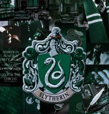 The Slytherin Boys thumbnail