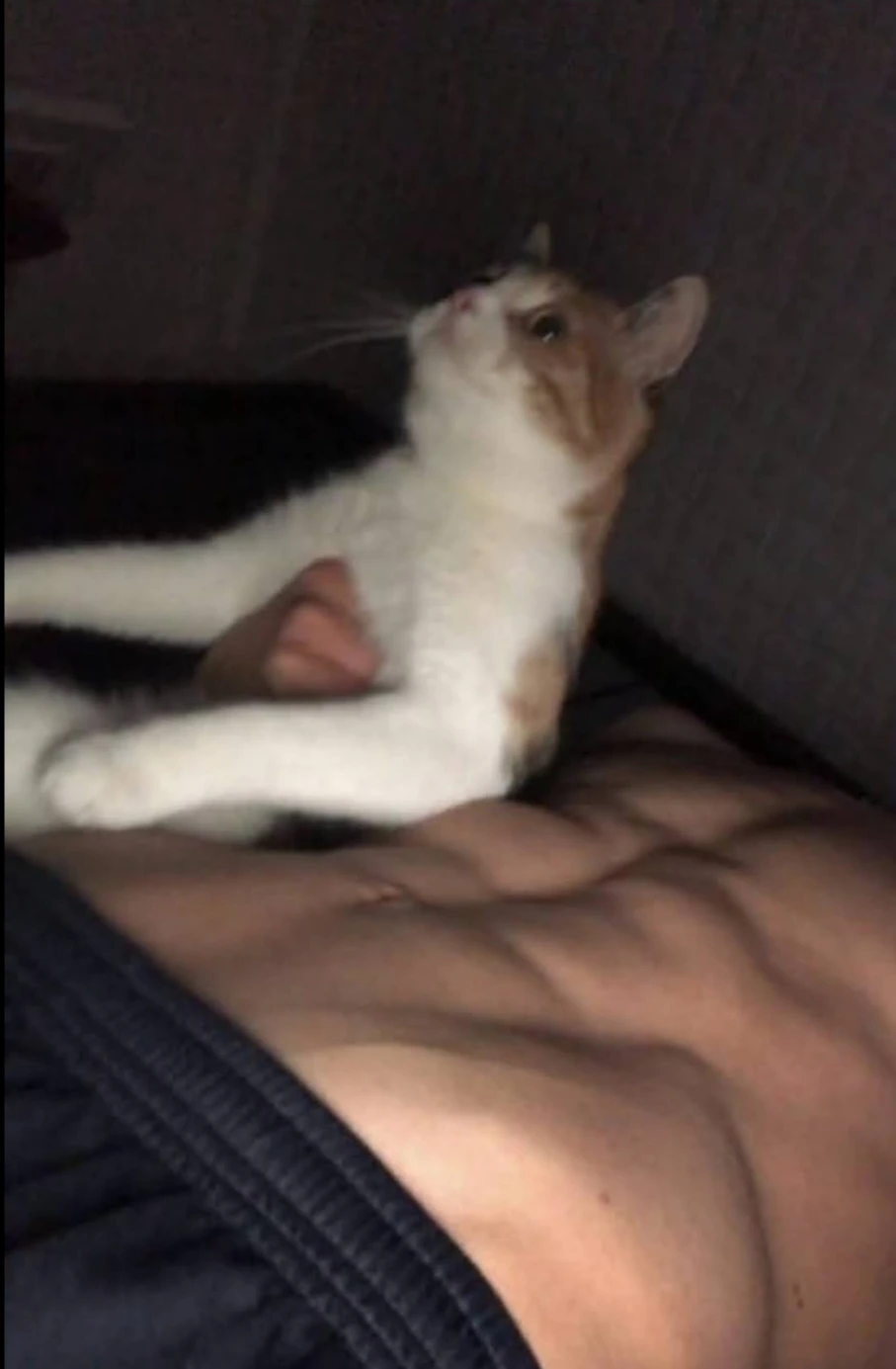 Nathan thumbnail
