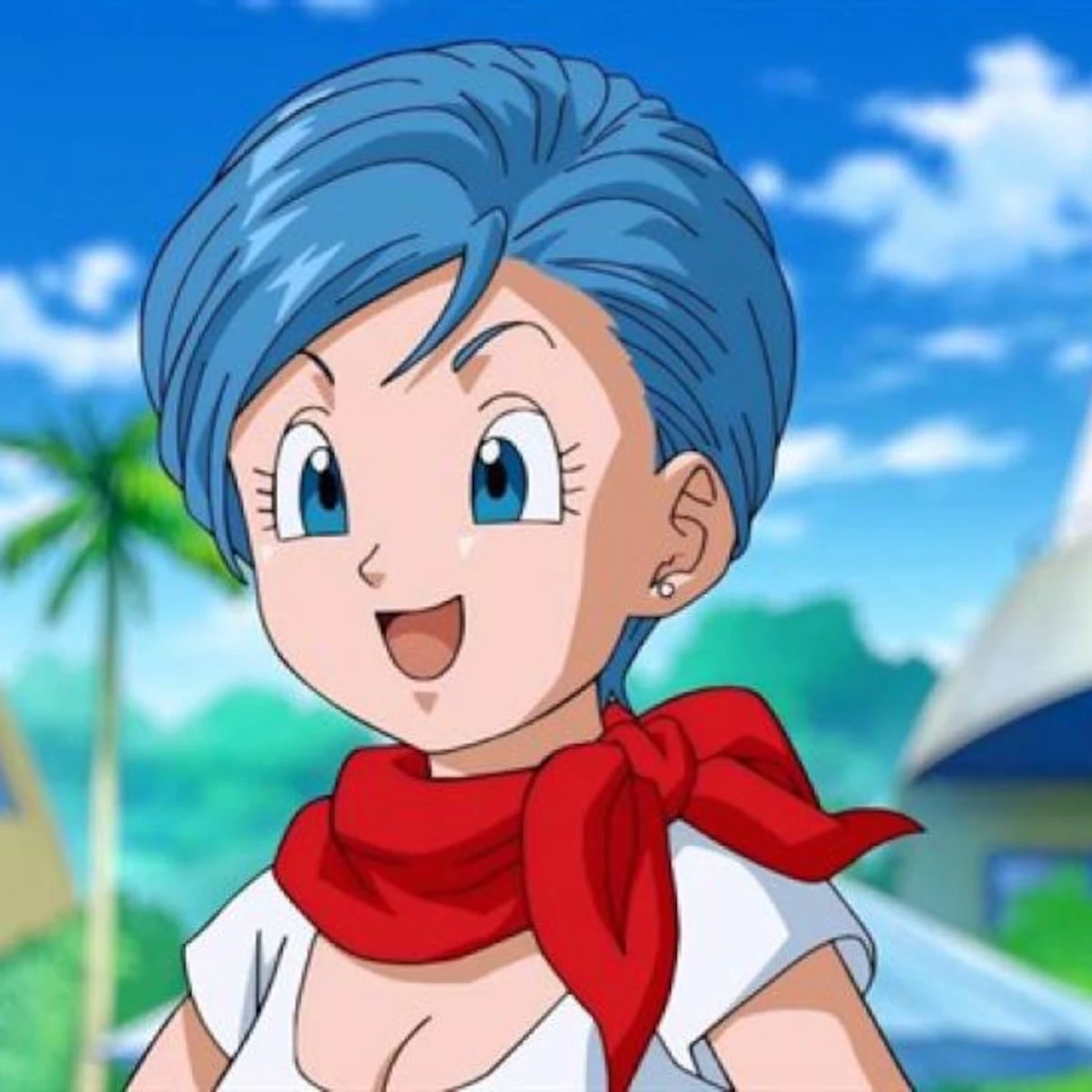 Bulma NTR thumbnail