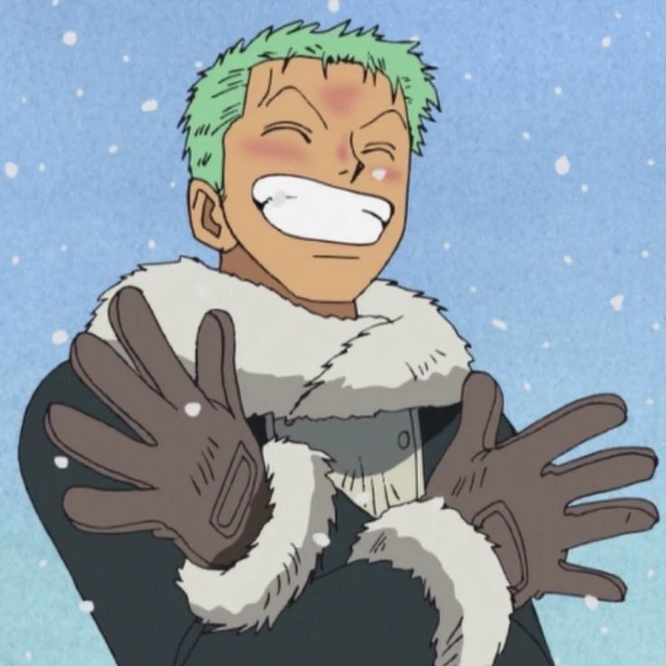 Zoro_Sel