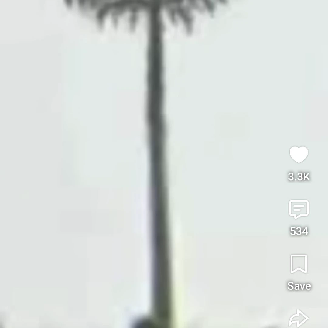 The lepidodendron tree thumbnail