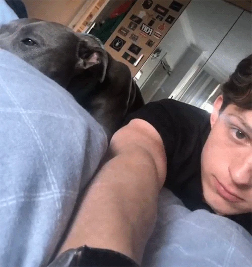 Tom Holland thumbnail