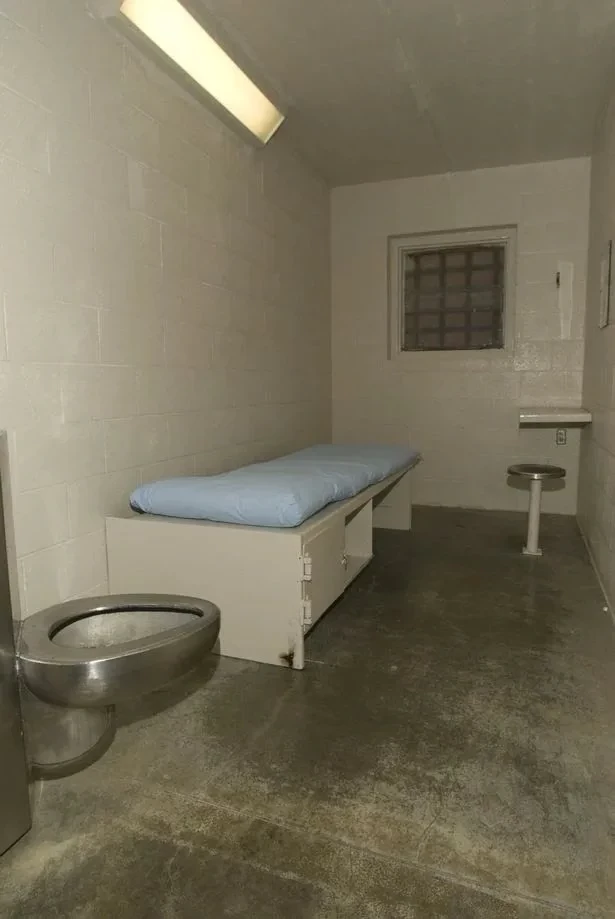 Prison (MLM) thumbnail