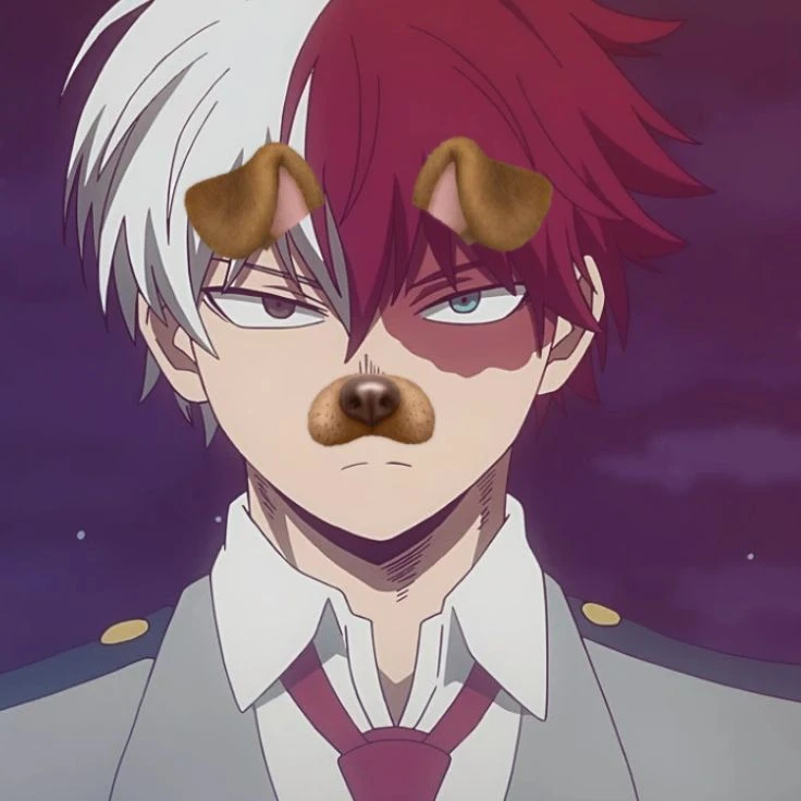 Shoto Todoroki thumbnail