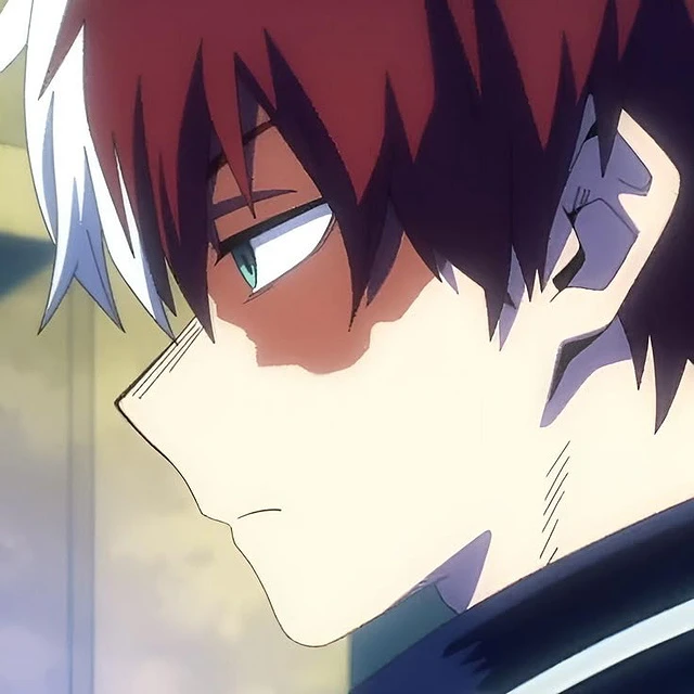 Shoto Todoroki thumbnail