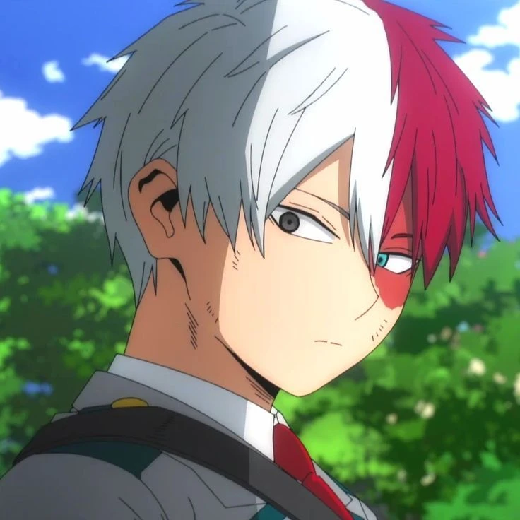 Shoto Todoroki thumbnail