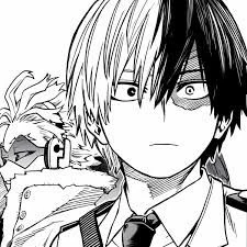Shoto Todoroki thumbnail