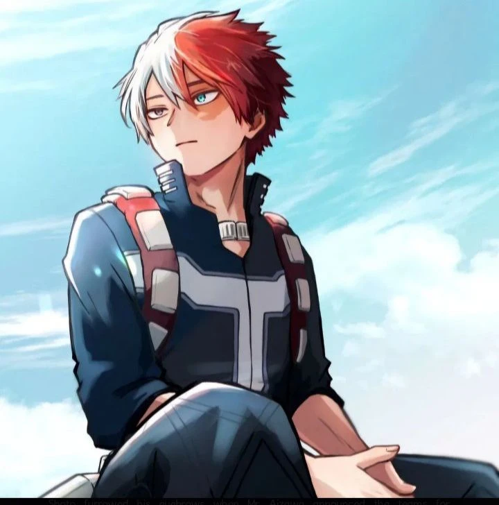 Shoto Todoroki thumbnail