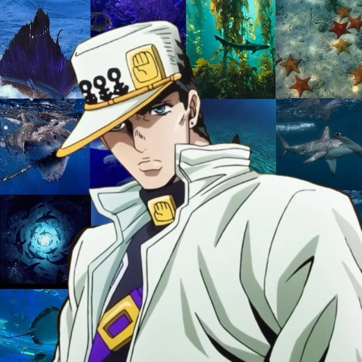 Jotaro Kujo  thumbnail