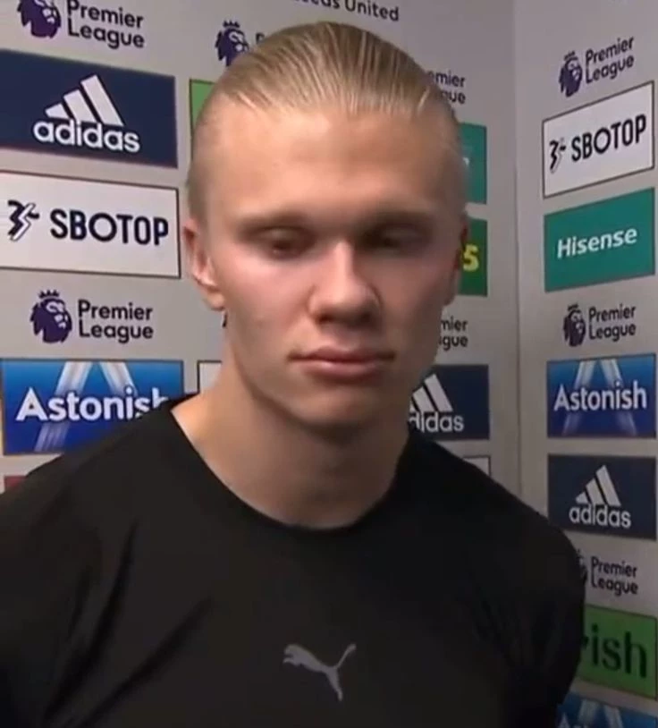 Erling Haaland - BL ⚣ thumbnail