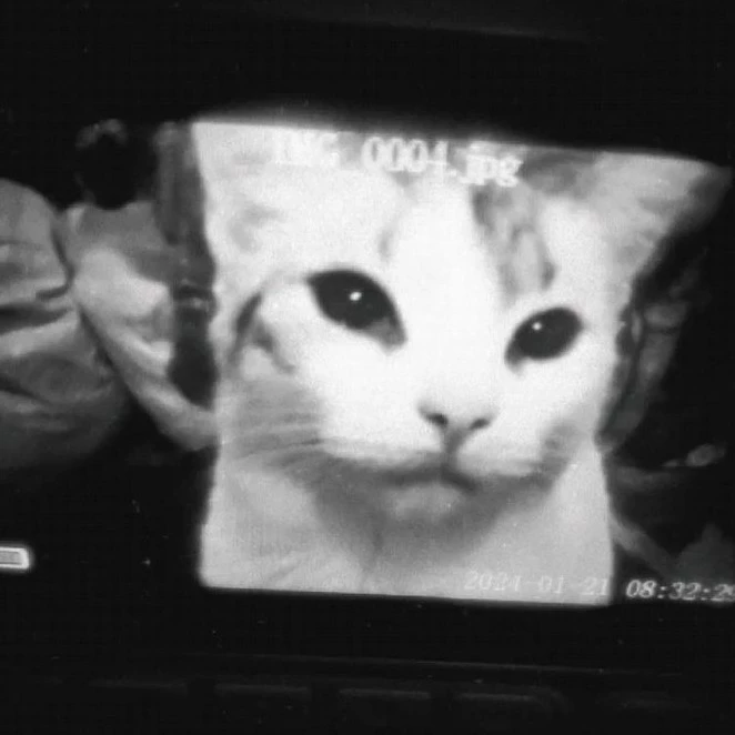Leica♡