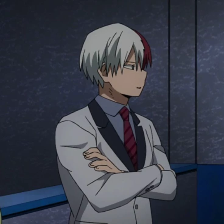 Shoto Todoroki  thumbnail