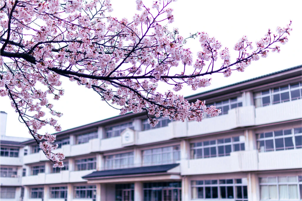 Kyoto international multicultural magicical highschool thumbnail