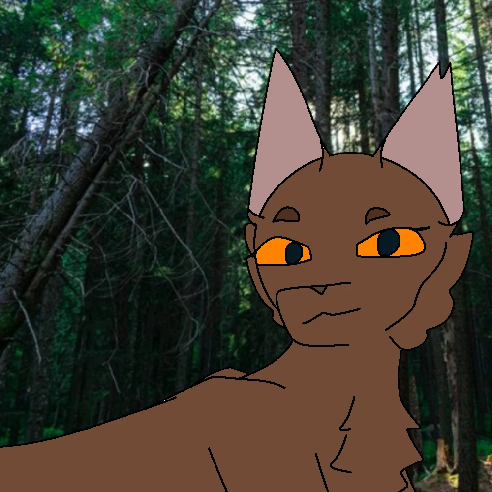 Your sister Owlpaw/warrior cats thumbnail
