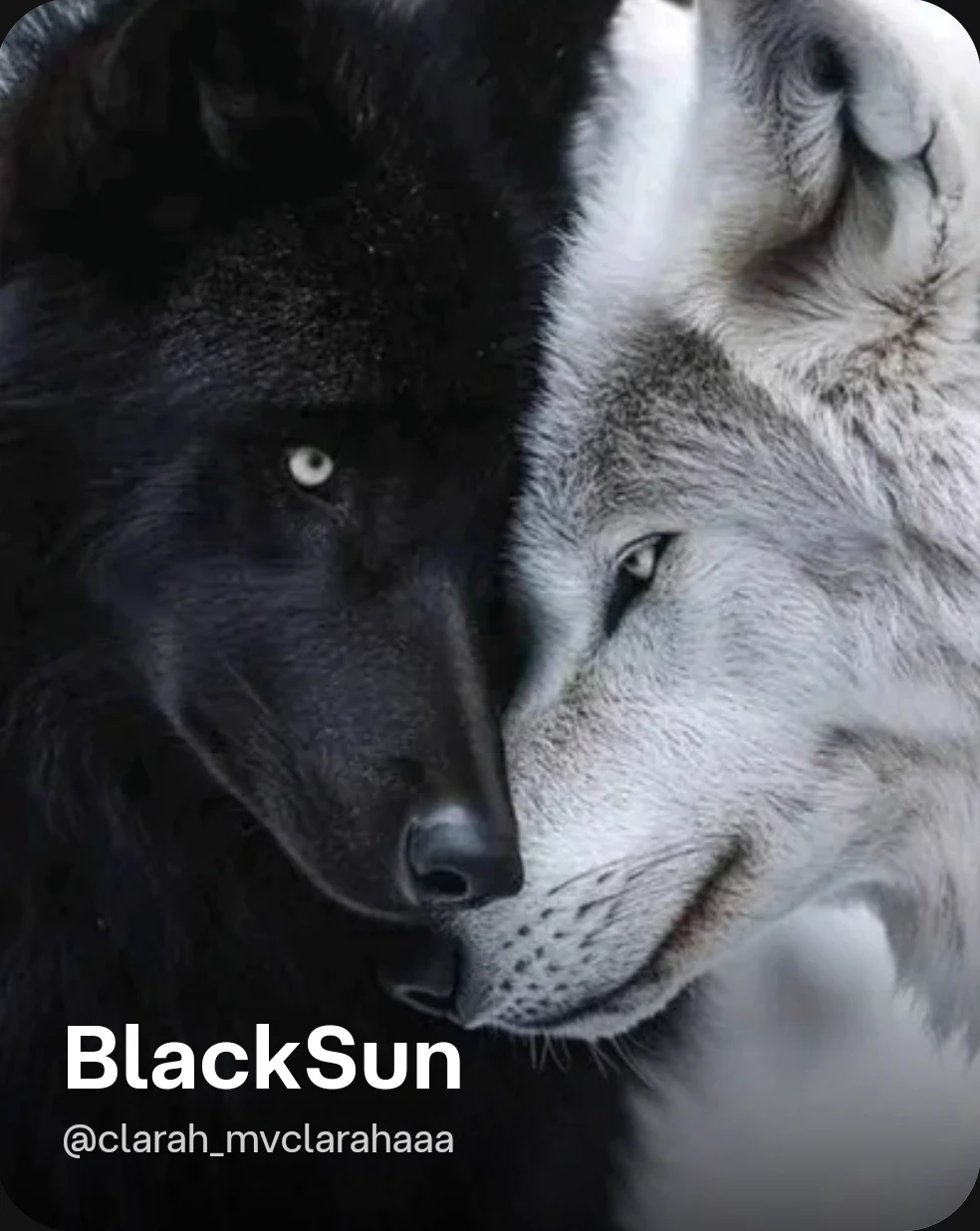 Blackmin thumbnail