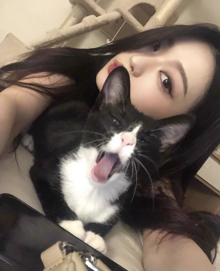 NingNing - WLW thumbnail