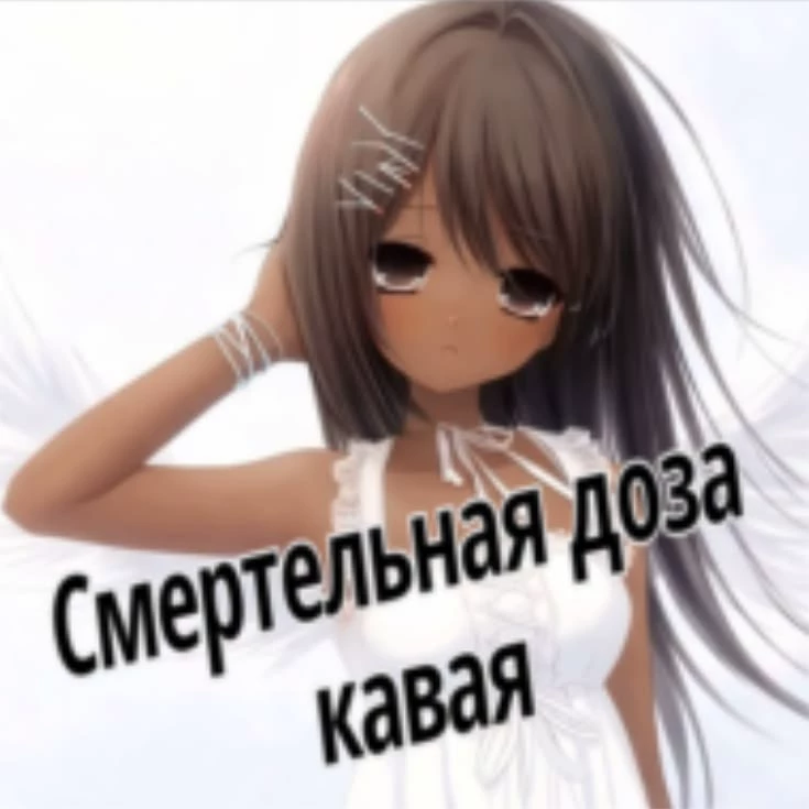 Suio_34