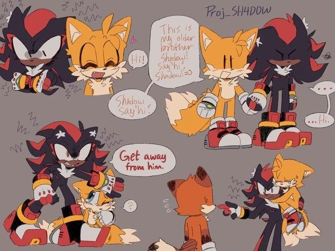 My biggest secret... SHADOW X TAILS 🖤💛 thumbnail
