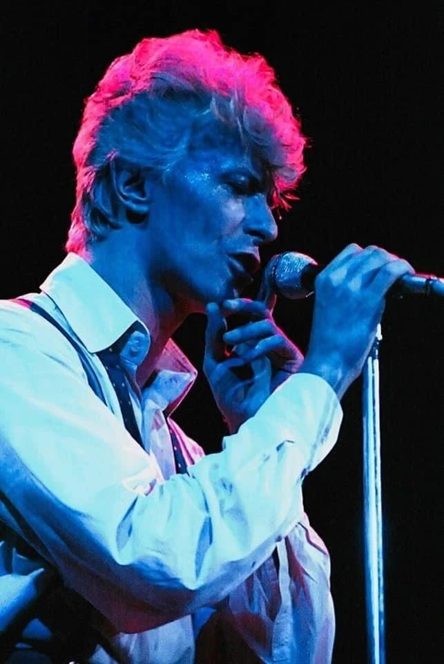 David Bowie  thumbnail