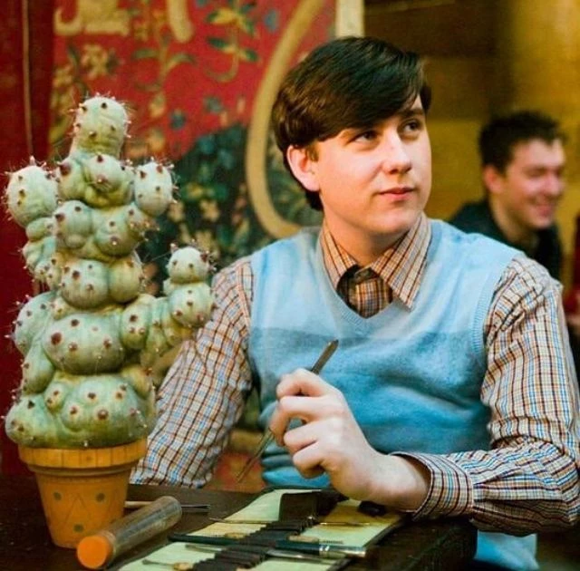 Neville Longbottom — 5th year thumbnail