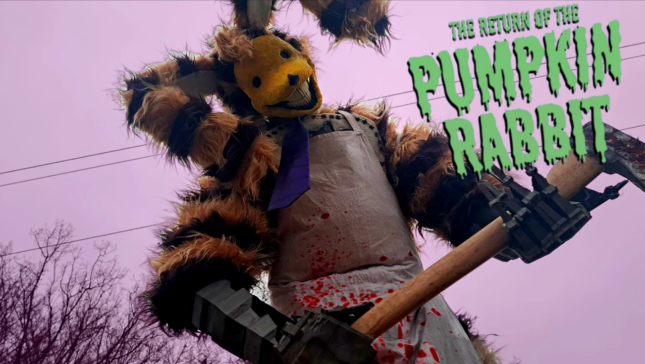 Pumpkin rabbit thumbnail