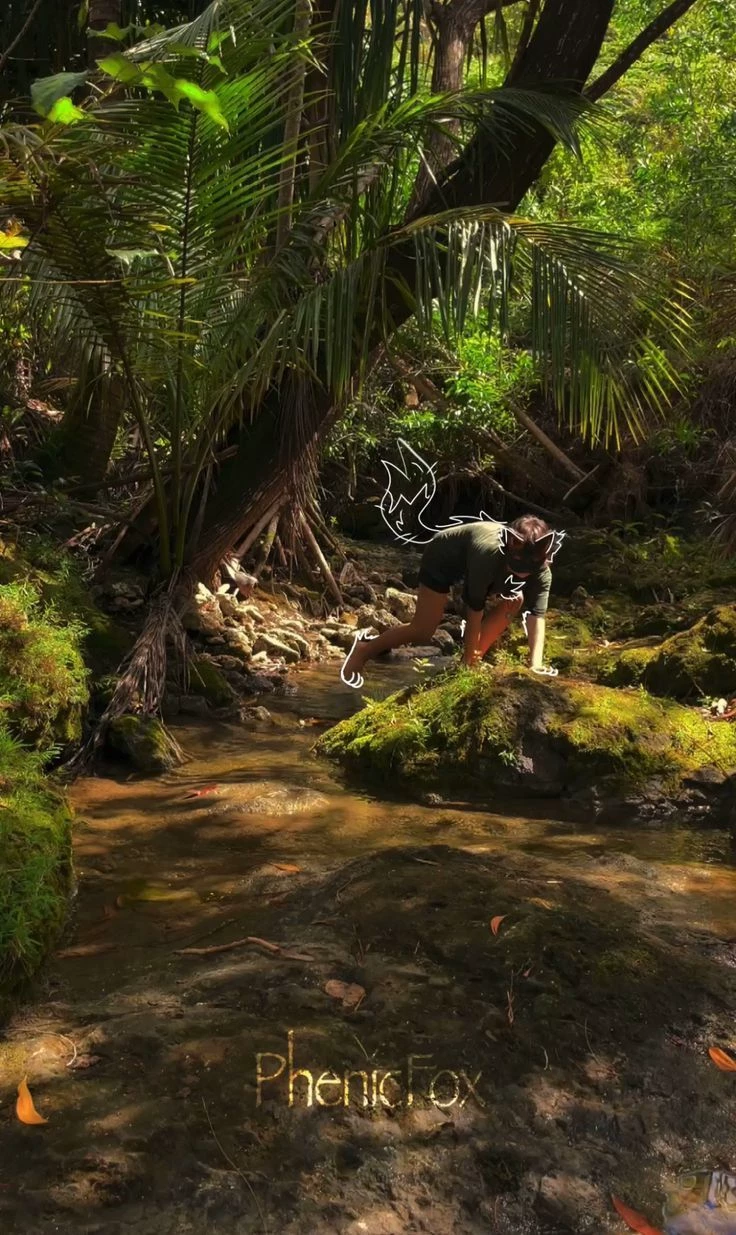 •° Clan in the forest °• thumbnail