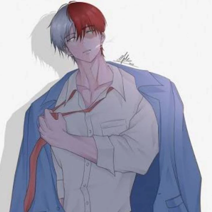 Shoto 🔥🧊 thumbnail