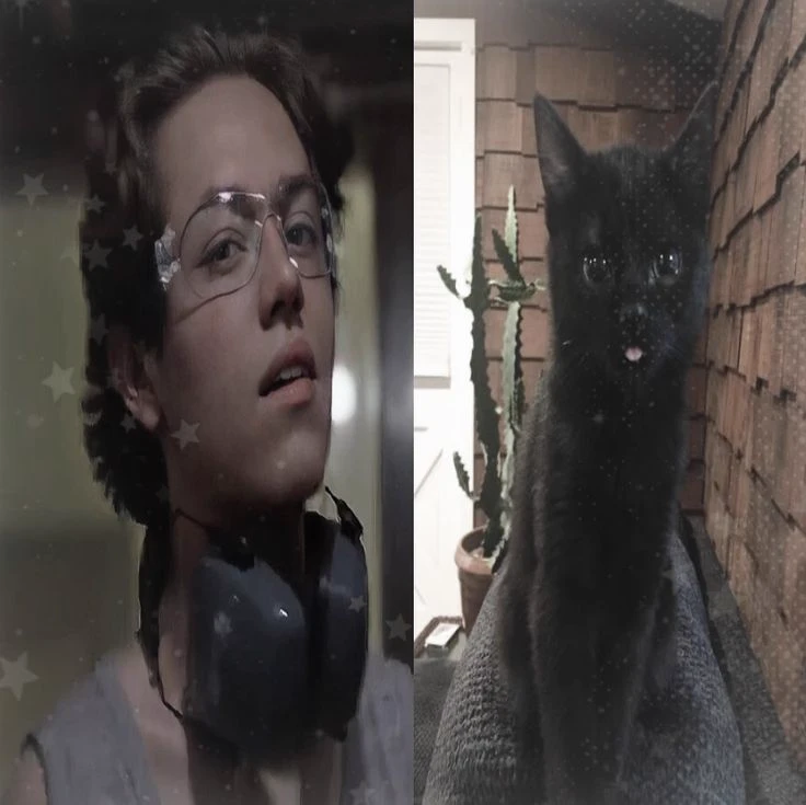 carl gallagher thumbnail