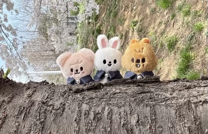 Minsung  thumbnail