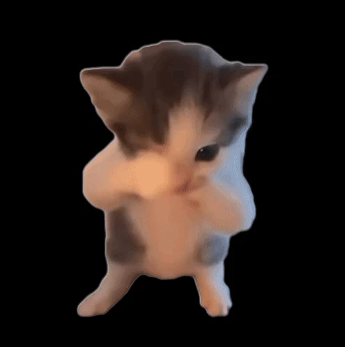 cat thumbnail