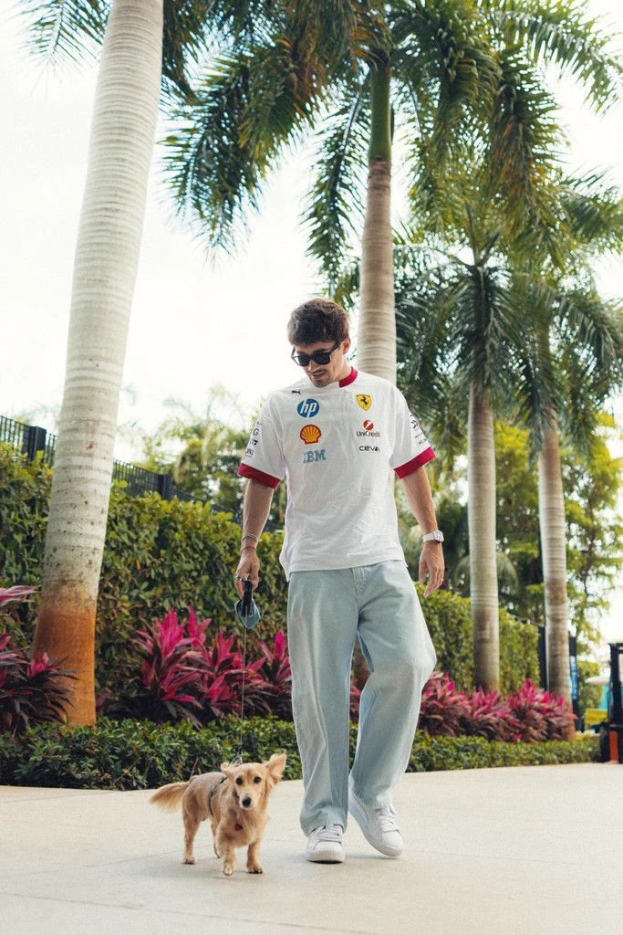Charles Leclerc thumbnail
