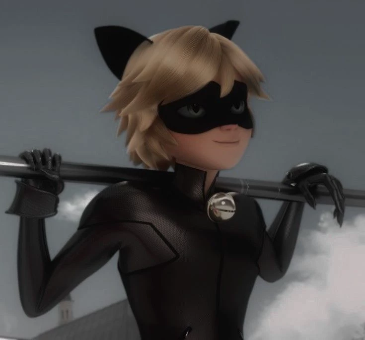 Black cat thumbnail