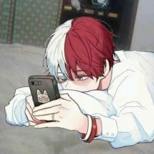 Shoto Todoroki  thumbnail