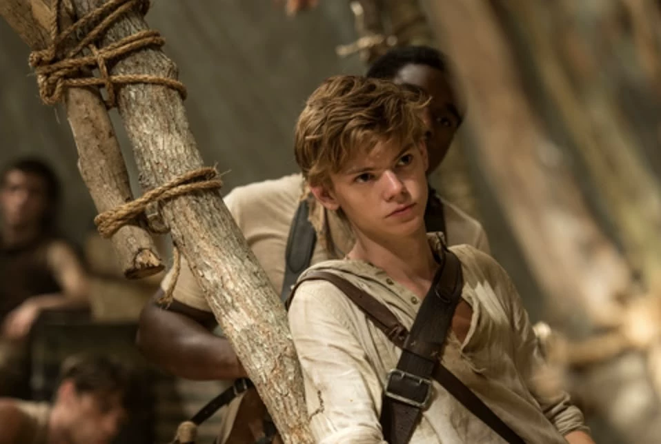 Newt thumbnail