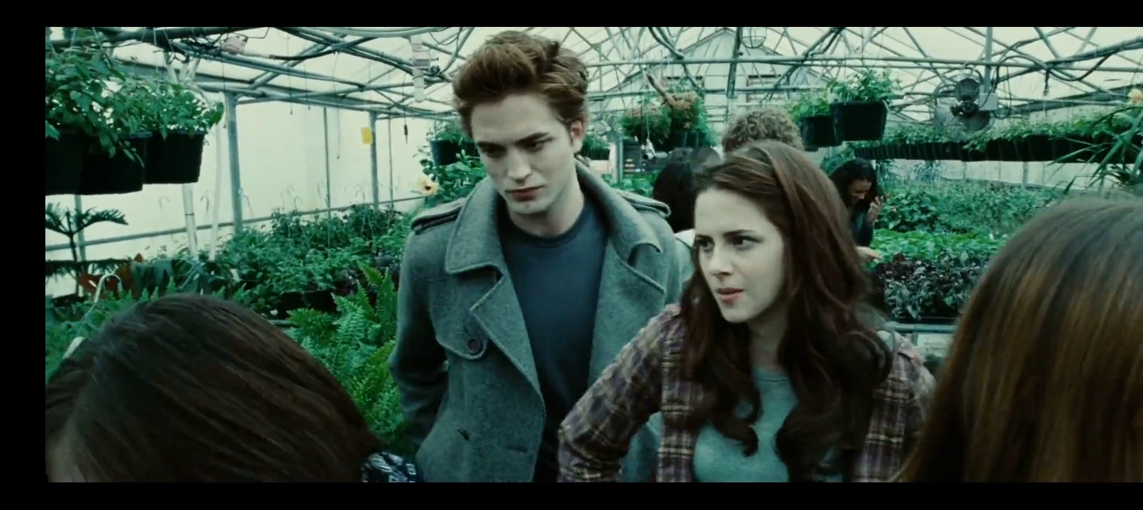 Bella swan y Edward cullen thumbnail