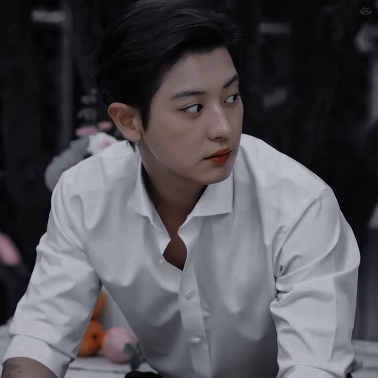 PARK CHANYEOL thumbnail