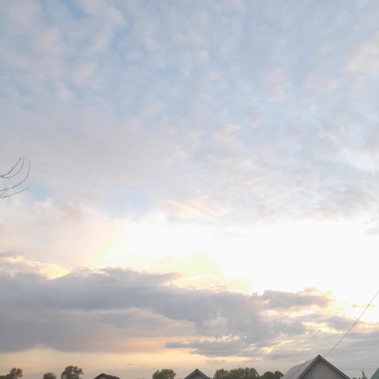 family thumbnail