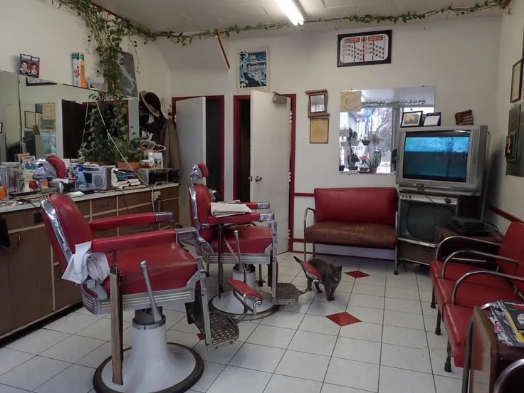 Favela Barber thumbnail
