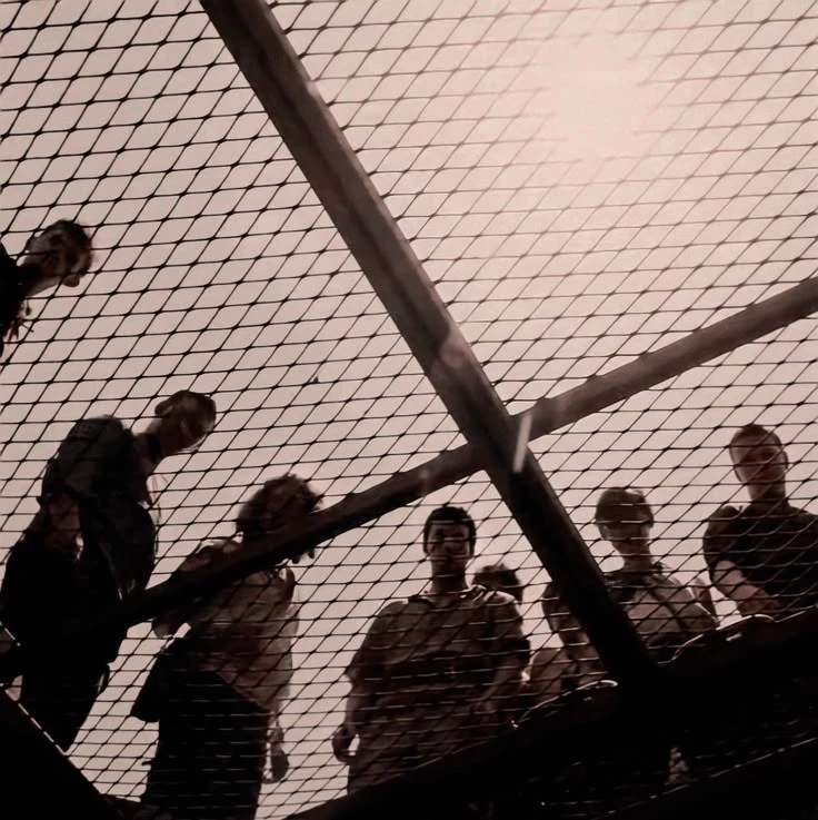 Maze Runner thumbnail