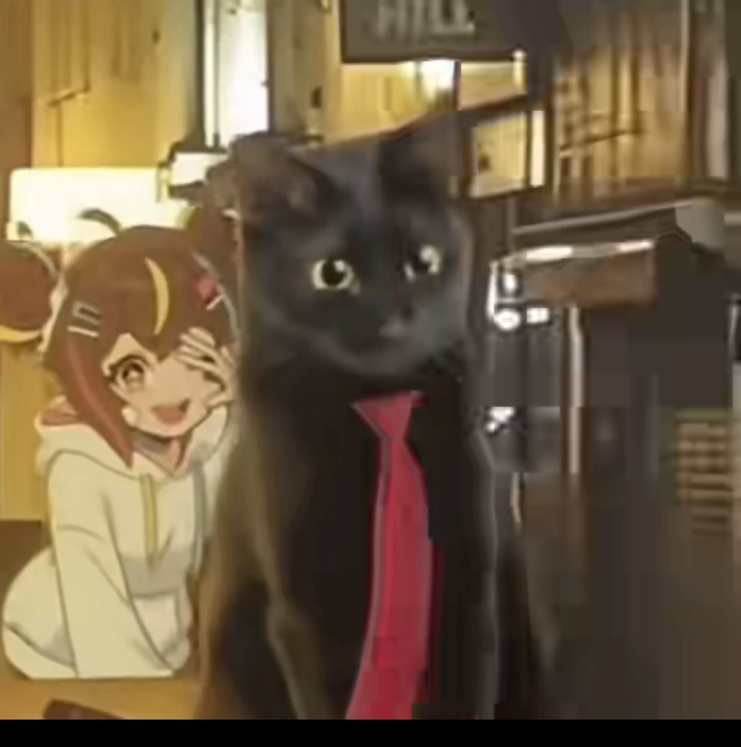 NTR-MHA thumbnail