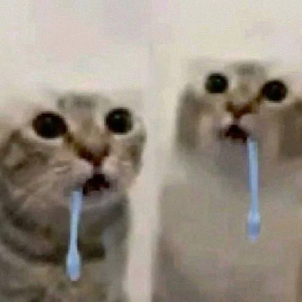 ışılbotbu thumbnail