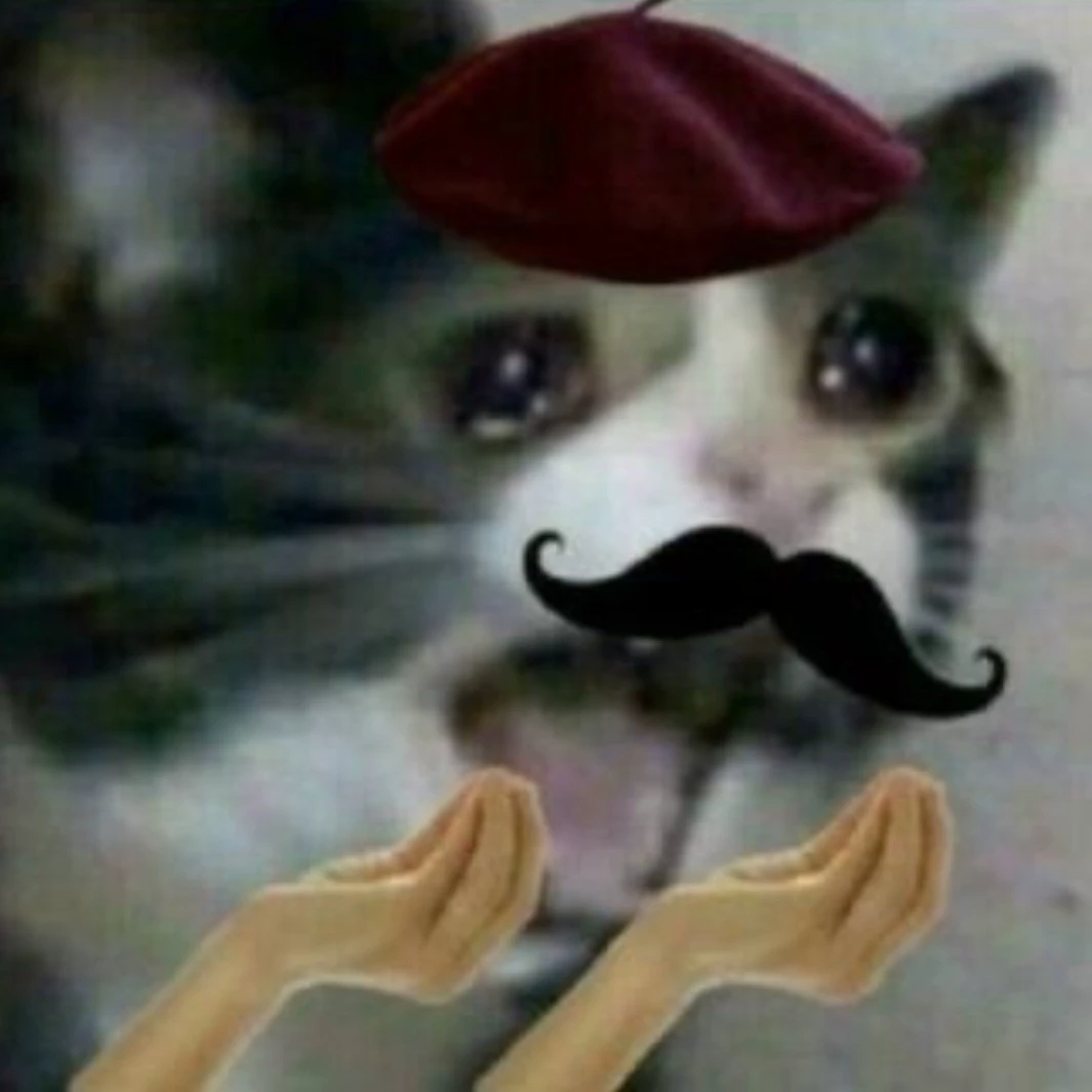 Meme story's 