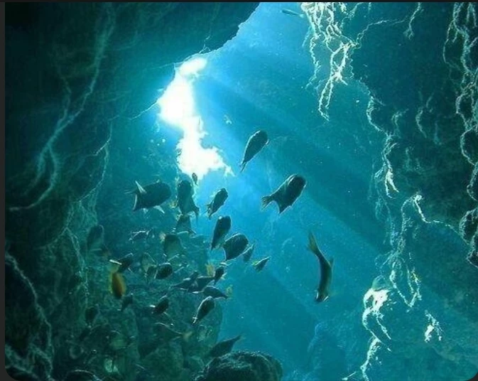 ocean of later thumbnail