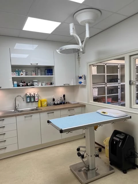 Veterinarians of Pets World thumbnail