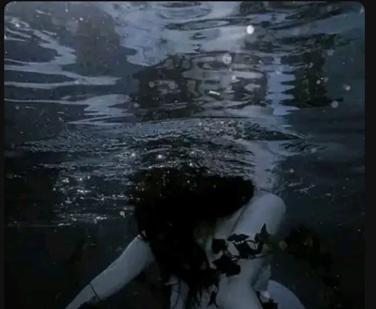 Siren  thumbnail