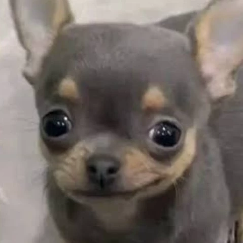 .....