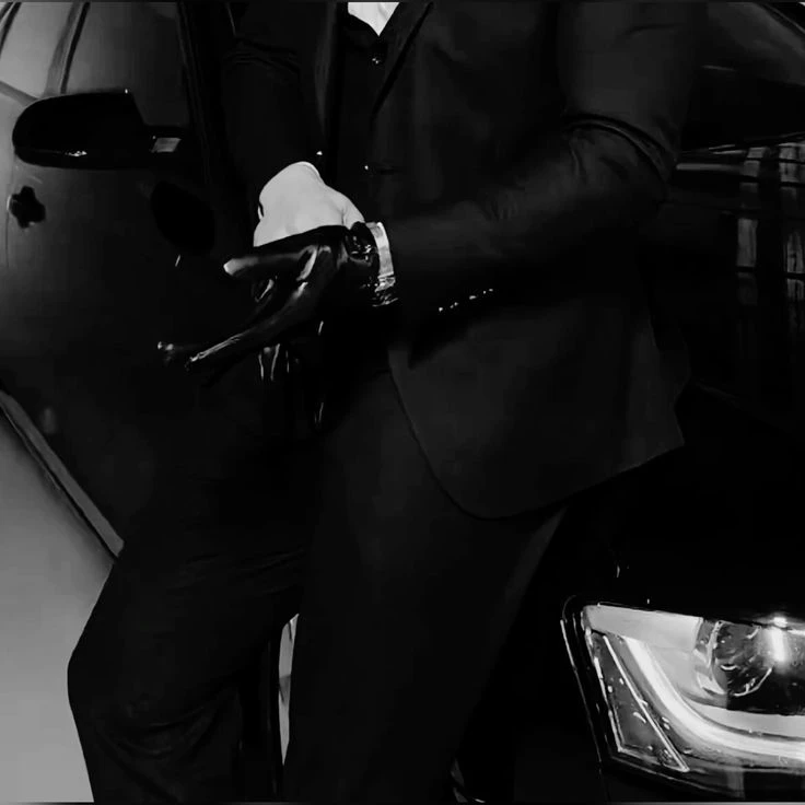 Silvis's Mafia-Obsessed Husband thumbnail