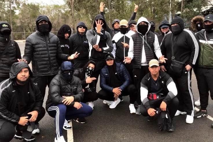 Weird Van with Ten Gangbangers thumbnail