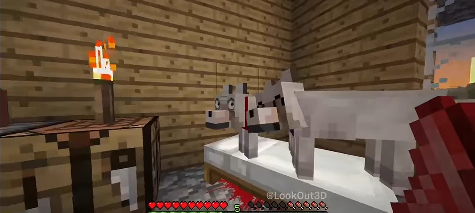 There's something wrong with my dog.  thumbnail