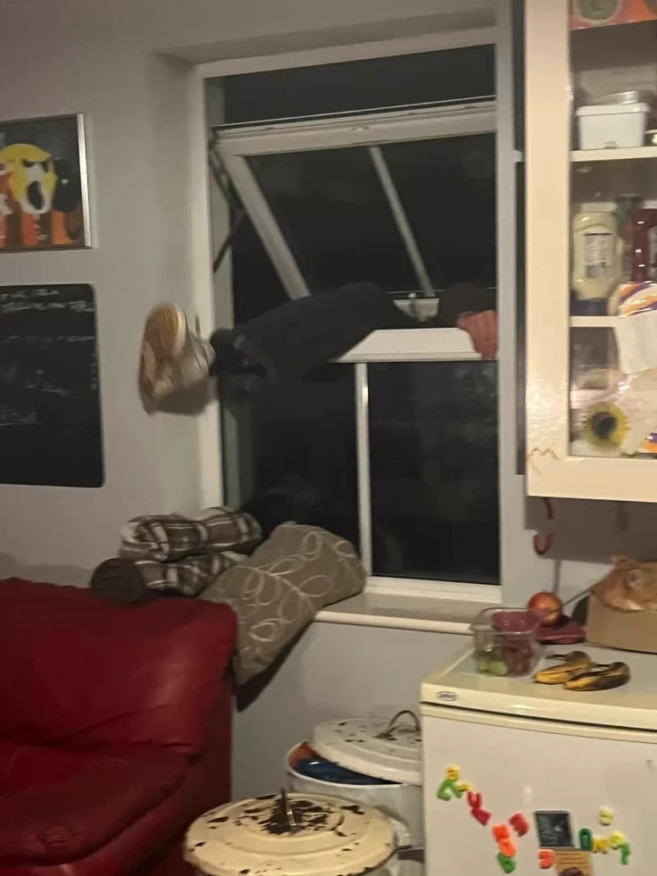Came in through the window thumbnail